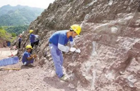 重庆什么地方发现恐龙化石群？