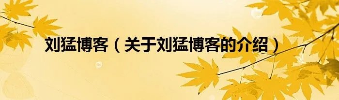 刘猛博客（关于刘猛博客的介绍）