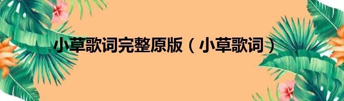 小草歌词完整原版（小草歌词）