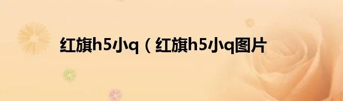 红旗h5小q（红旗h5小q图片
