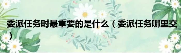 委派任务时最重要的是什么（委派任务哪里交）