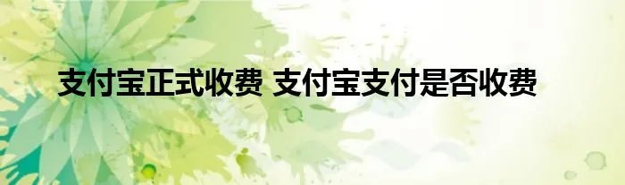 支付宝正式收费 支付宝支付是否收费