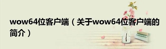 wow64位客户端（关于wow64位客户端的简介）