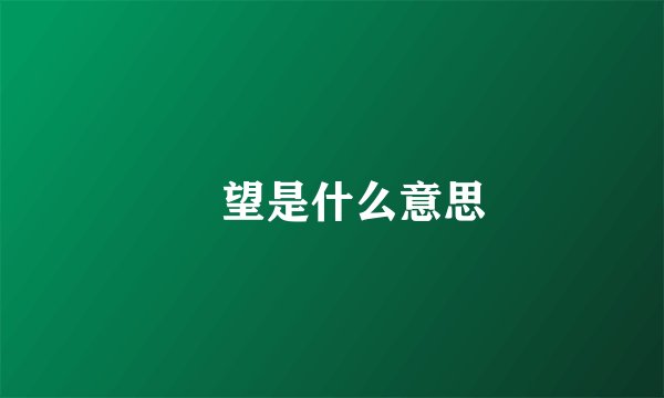 瞭望是什么意思
