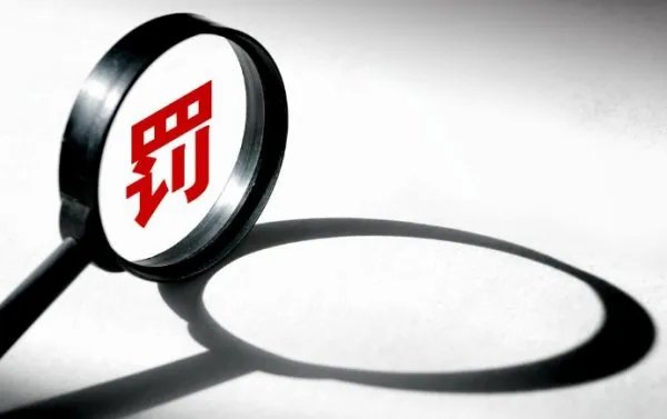 庞大集团为什么遭处罚?