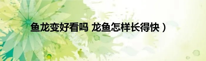 鱼龙变好看吗 龙鱼怎样长得快）