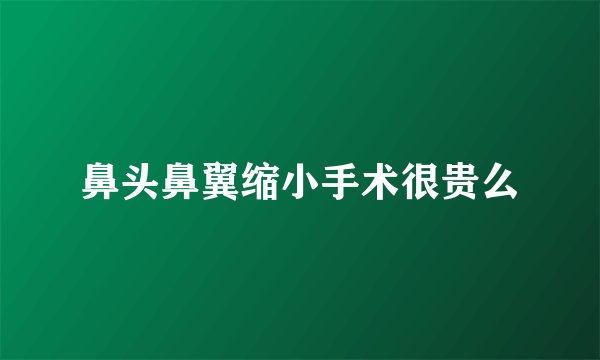 鼻头鼻翼缩小手术很贵么