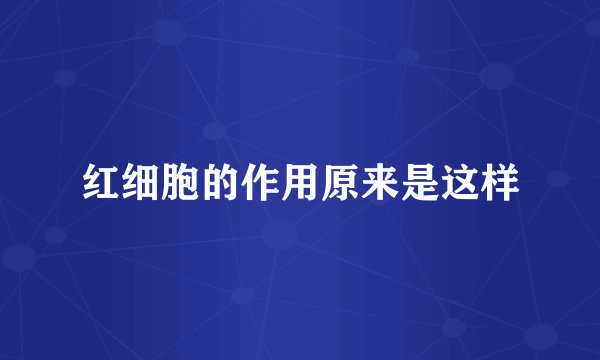 红细胞的作用原来是这样