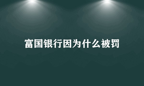 富国银行因为什么被罚