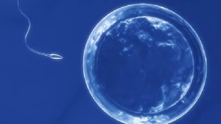 让精子强大的12个养生小方法!