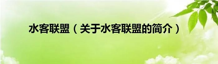 水客联盟（关于水客联盟的简介）
