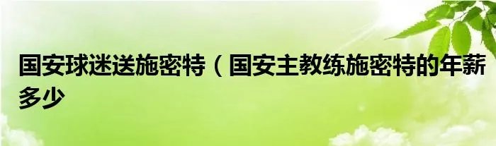 国安球迷送施密特（国安主教练施密特的年薪多少