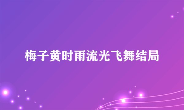 梅子黄时雨流光飞舞结局