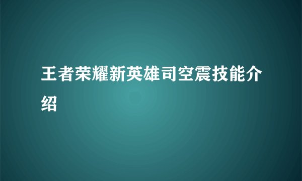 王者荣耀新英雄司空震技能介绍