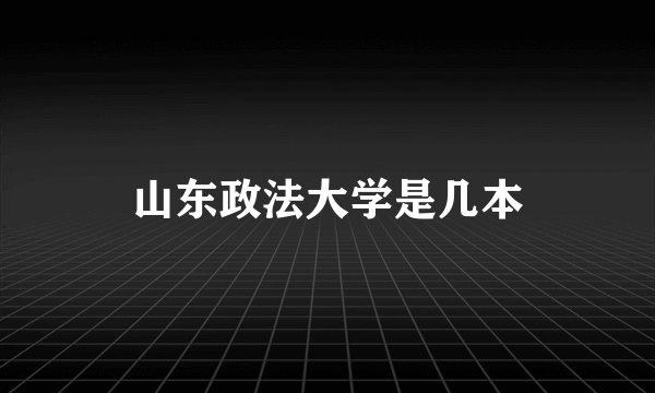 山东政法大学是几本
