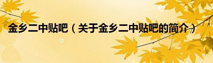 金乡二中贴吧（关于金乡二中贴吧的简介）