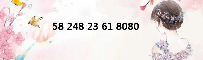 58 248 23 61 8080