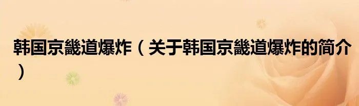韩国京畿道爆炸（关于韩国京畿道爆炸的简介）