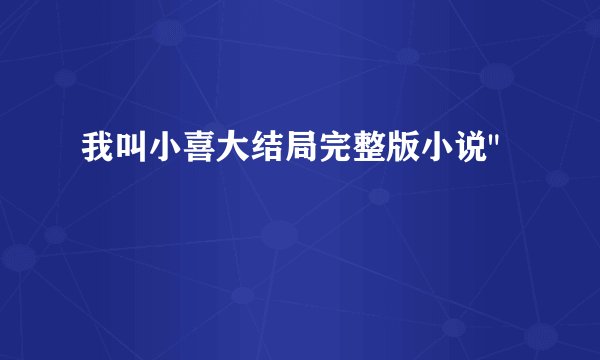 我叫小喜大结局完整版小说