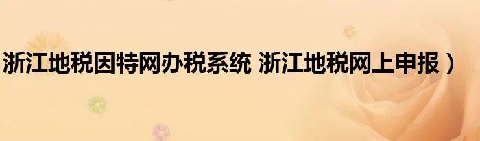 浙江地税因特网办税系统 浙江地税网上申报）