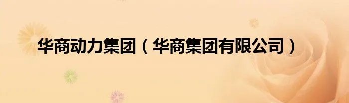 华商动力集团（华商集团有限公司）