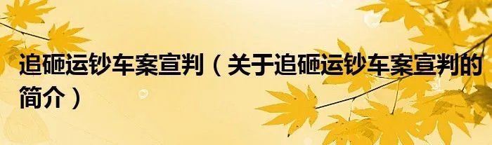 追砸运钞车案宣判（关于追砸运钞车案宣判的简介）