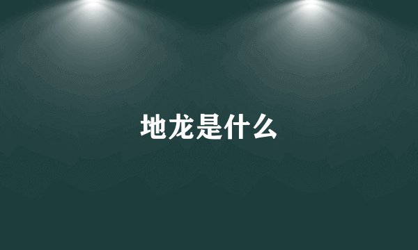 地龙是什么
