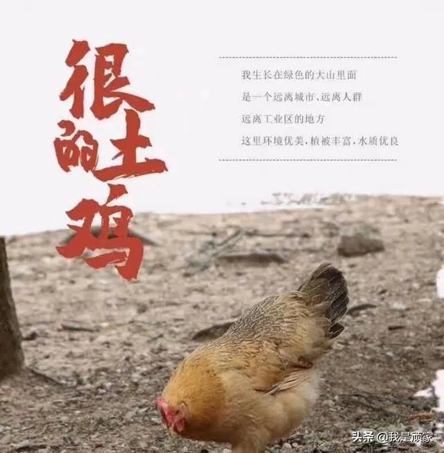 你们公司或者自己要拍照,都是怎么找摄影师的?