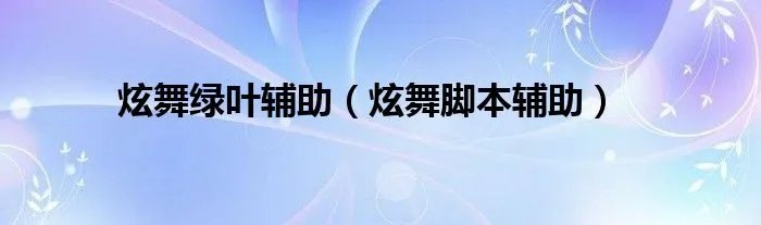 炫舞绿叶辅助（炫舞脚本辅助）
