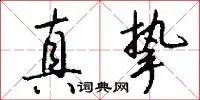 真挚