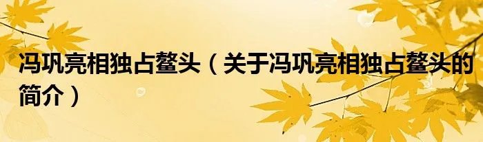 冯巩亮相独占鳌头（关于冯巩亮相独占鳌头的简介）