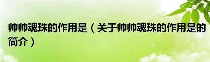 帅帅魂珠的作用是（关于帅帅魂珠的作用是的简介）