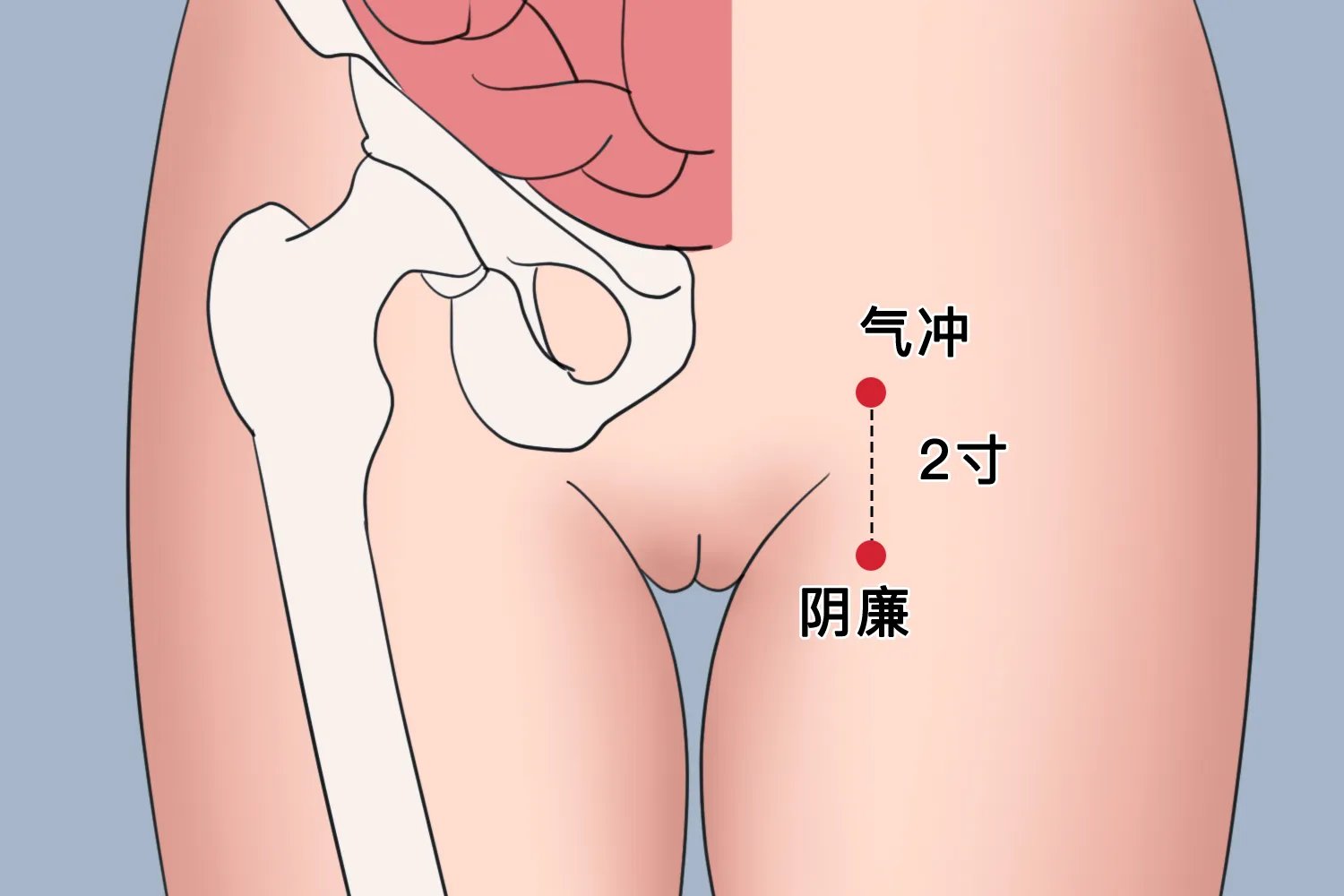 阴廉的位置与作用和功效