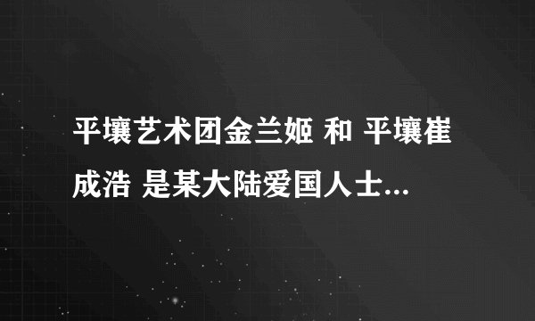 平壤艺术团金兰姬 和 平壤崔成浩 是某大陆爱国人士的高级黑么???