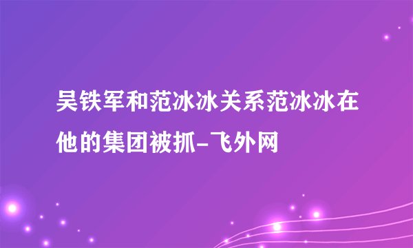 吴铁军和范冰冰关系范冰冰在他的集团被抓-飞外网
