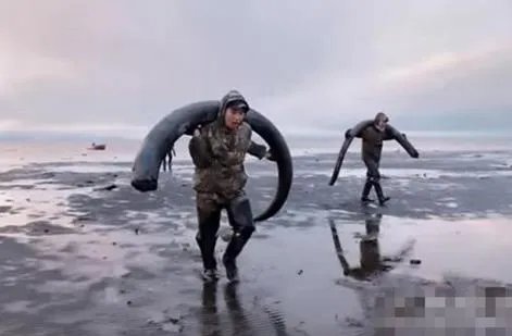 农民海边挖土 竟挖出巨额财富(图)