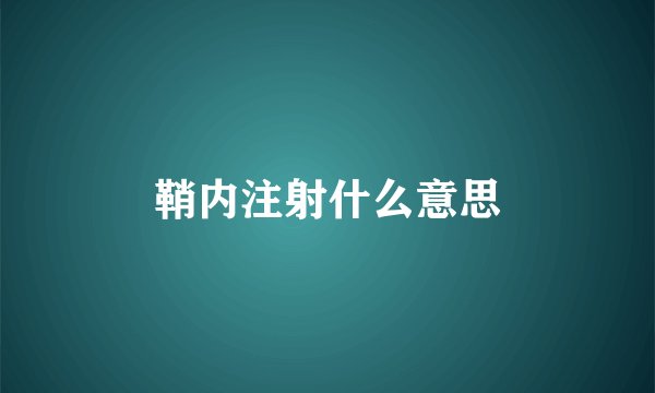 鞘内注射什么意思