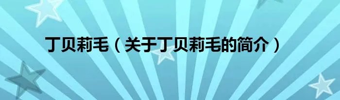 丁贝莉毛（关于丁贝莉毛的简介）