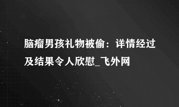 脑瘤男孩礼物被偷：详情经过及结果令人欣慰_飞外网