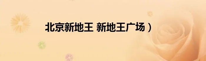 北京新地王 新地王广场）