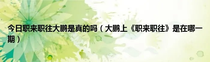 今日职来职往大鹏是真的吗（大鹏上《职来职往》是在哪一期）