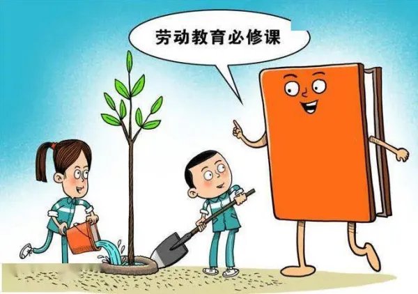 调查发现中小学生的劳动教育脱离日常,你对此有什么好的建议吗?