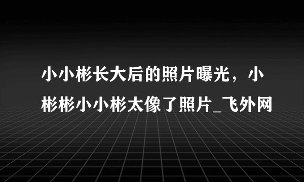 小小彬长大后的照片曝光，小彬彬小小彬太像了照片_飞外网