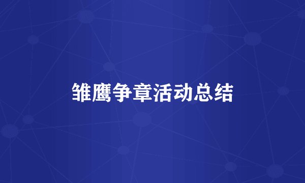 雏鹰争章活动总结