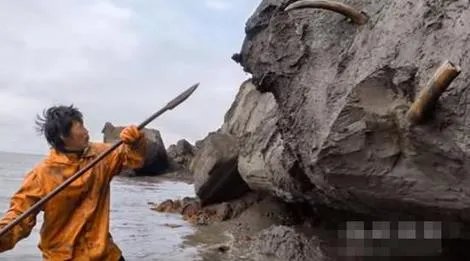 农民海边挖土 竟挖出巨额财富(图)