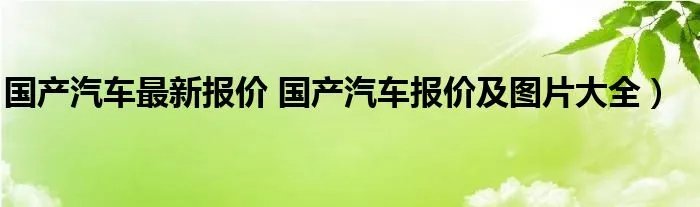 国产汽车最新报价 国产汽车报价及图片大全)