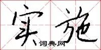 实施