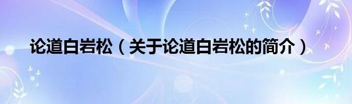 论道白岩松（关于论道白岩松的简介）