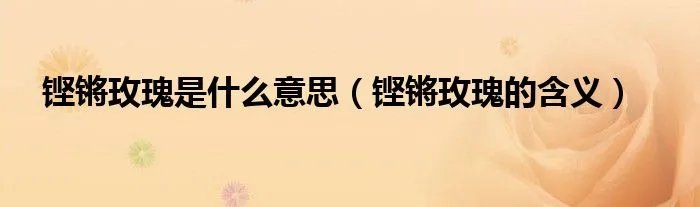 铿锵玫瑰是什么意思（铿锵玫瑰的含义）