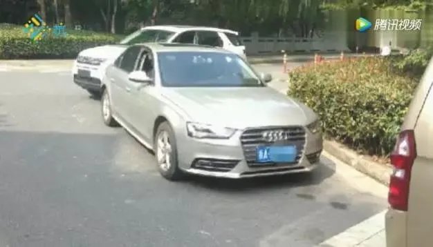 三小伙盗窃后救人：救人的和偷窃的是同一伙人